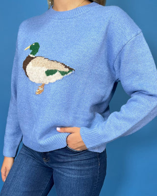 Duck Duck Cozy Sky Blue Knit Sweater - All About You