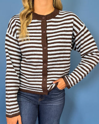 Lakeside Stripes Brown & Powder Blue Cardigan Sweater - All About You
