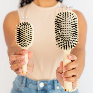 Person holding a mini and a full-size hairbrush with text labels.